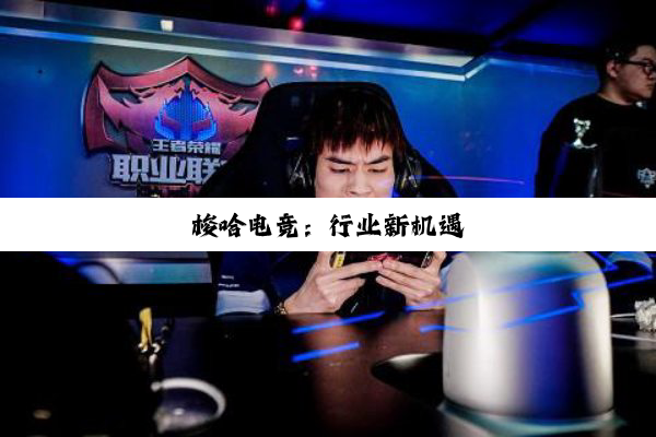 梭哈电竞:行业新机遇